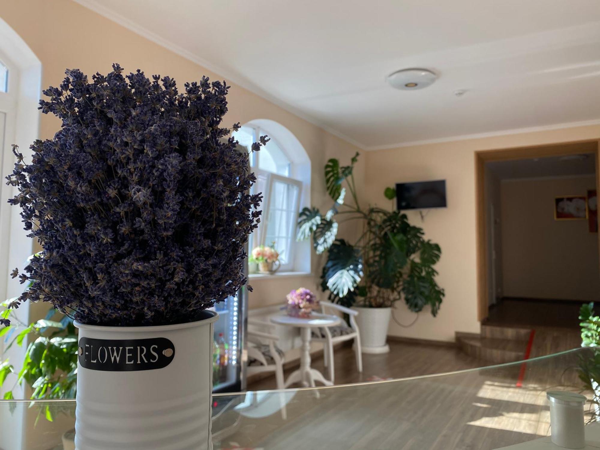 Hotel Орхідея à Romny Extérieur photo